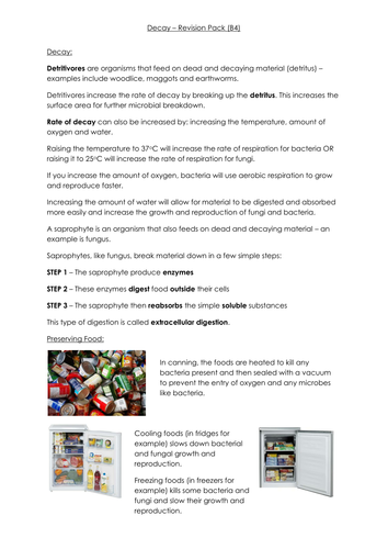 B4 biology essay 06 picture