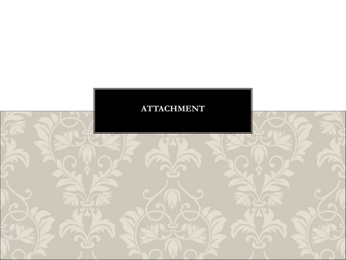 ppt, 3.72 MB