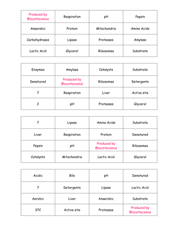 Additional Biology AQA - Digestion Keyword and definition bingo.