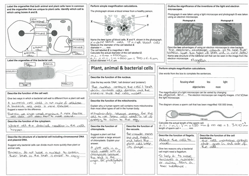 edexcel GCSE biology B2 revision sheets | Teaching Resources