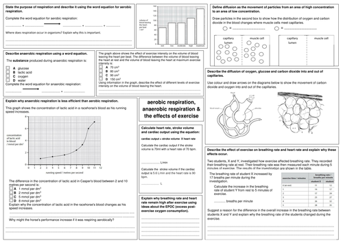 edexcel gcse biology b2 revision sheets teaching resources