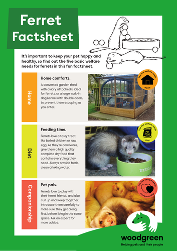 Pet Fact Files | Teaching Resources
