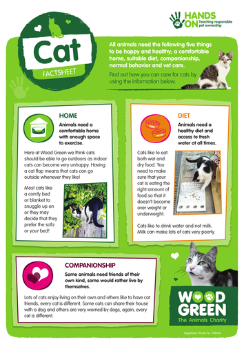 Pet Fact Files | Teaching Resources