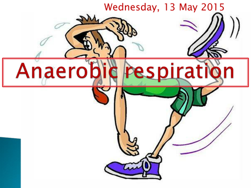 What is anaerobic respiration?