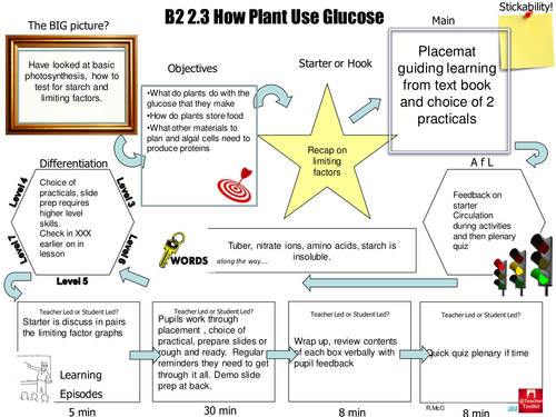 B2 2.3 How do plants use glucose Teaching Resources