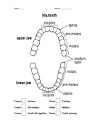 My Teeth | Teaching Resources