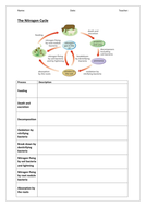 Nitrogen Cycle | Teaching Resources