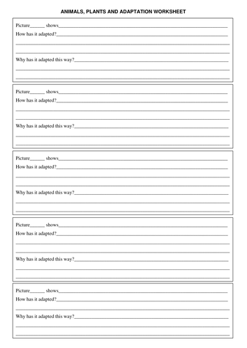 Animal Adaptation and Ecosystems by joshreevell - Teaching Resources - TES