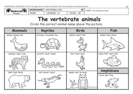 ENGLISH KS2 Level 2: Farm and Vertebrate animals ...