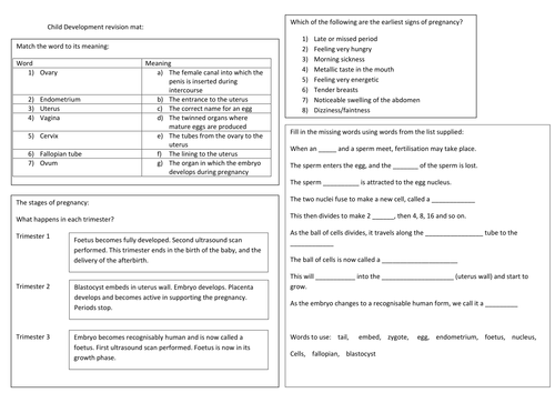 Child Development revision mat