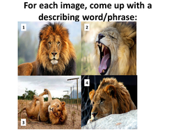 Poetry - Lions | Teaching Resources