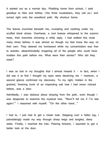 How to describe a magical door picture