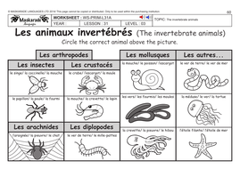 french ks2 level 3 ks3 year 7 vertebrate and invertebrate animals