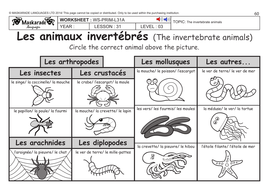 french ks2 level 3 ks3 year 7 vertebrate and