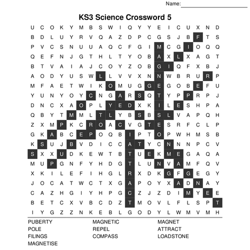 KS3 Science Bumper Fun Wordsearch Megapack. 10 Sets of 10 Included