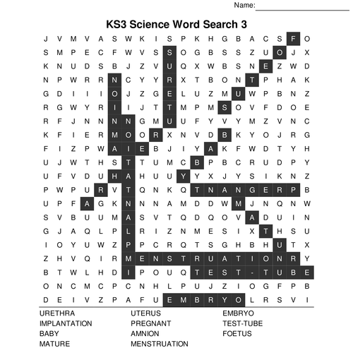 ks3 science bumper fun wordsearch megapack 10 sets of 10 included