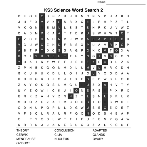 KS3 Science Bumper Fun Wordsearch Megapack. 10 Sets of 10 Included