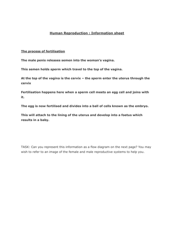 docx, 28.05 KB