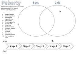 Puberty Worksheet | Teaching Resources