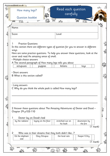 year 3 reading assessment without levels reading comprehension test