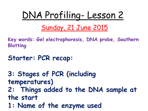 DNA profiling | Teaching Resources