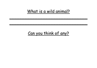 animal  (45 sorting.docx KB, tes worksheet animal Worksheet Microsoft Word)