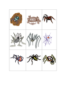 Aaaarrgghh, Spider! Resource Pack | Teaching Resources