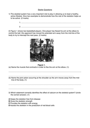 GCSE PE Skeletal System Exam Questions by hunnj - Teaching Resources - TES