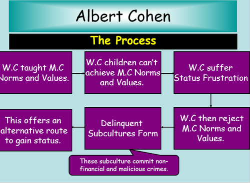 Cohen Status Frustration Fun Activity. Cartoon and stages match up by ...
