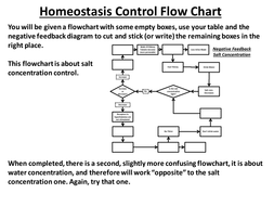 Negative Feedback - Homeostasis of Water cut and stick by ... body temp regulation diagram 