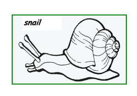 The Snail and the Whale Resource Pack by bestprimaryteachingresources ...
