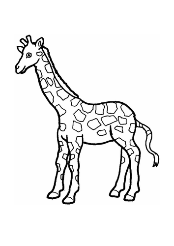 Giraffes Can't Dance Resource Pack by bestprimaryteachingresources