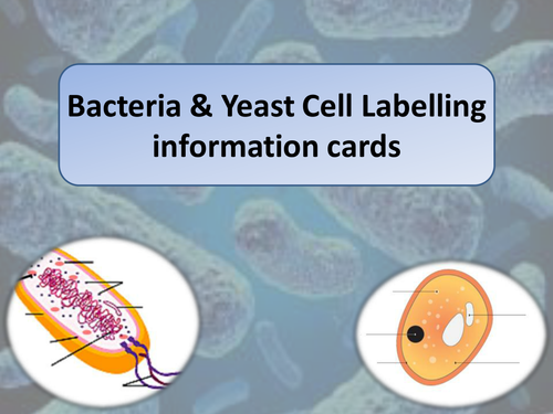 New AQA 2016 GCSE Science Spec Eukaryotes & Prokaryotes Lesson by