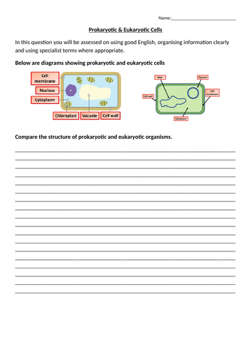 docx, 96.51 KB