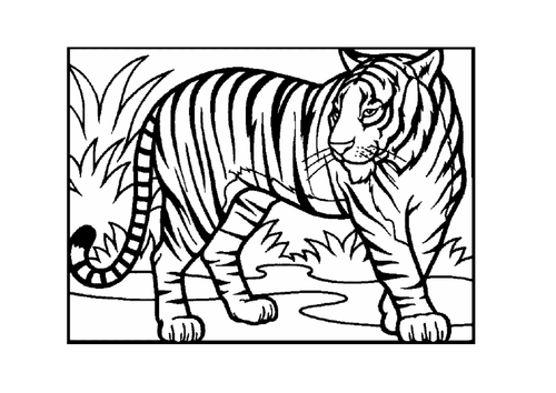 The Tiger Who Came to Tea Resource Pack by bestprimaryteachingresources ...