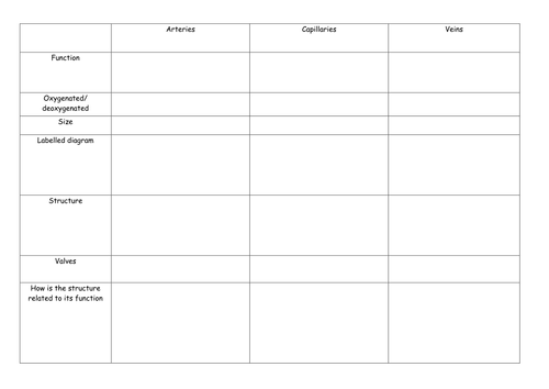 Blood vessels | Teaching Resources