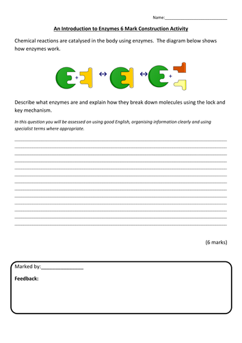 New AQA 2016 GCSE Science Spec Enzymes in Digestion Lesson | Teaching ...