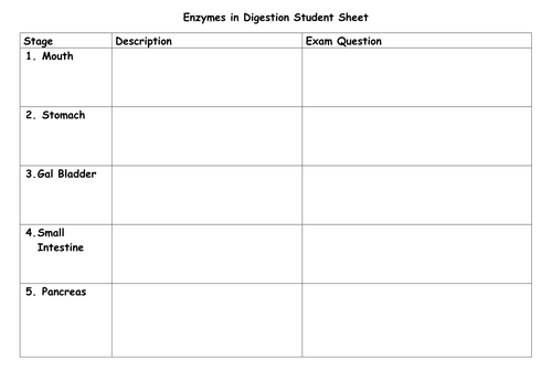 New AQA 2016 GCSE Science Spec Enzymes in Digestion Lesson | Teaching ...