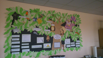 Science Classroom Lab Display Ideas Teaching Resources