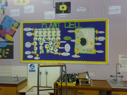 Science Classroom Lab Display Ideas Teaching Resources