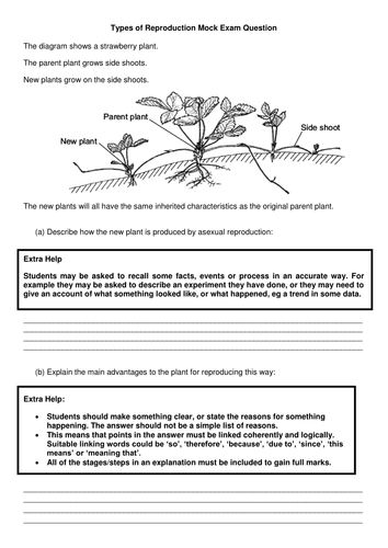 New Aqa 2016 Gcse Science Spec Sexual And Asexual Reproduction Lesson By 9520