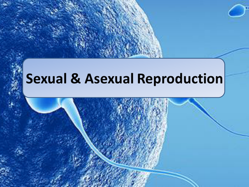 New Aqa 2016 Gcse Science Spec Sexual And Asexual Reproduction Lesson By 7563