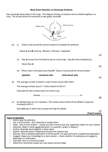 OCR A Level 2015 Biology Spec Introduction to Exchange Surfaces Lesson ...