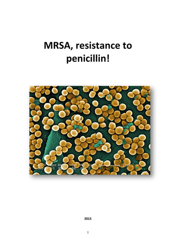 Educational activity: MRSA, resistance to penicillin!