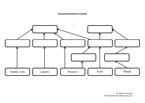 africa 6th 10th grade teaching resources
