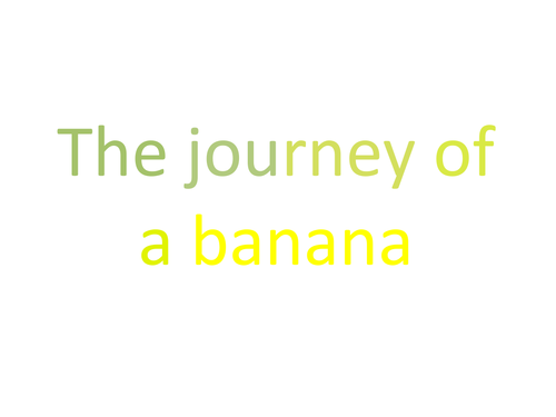 Dont Ask Do Bananas Grow On Trees Without Reading This First - tmuu9p4