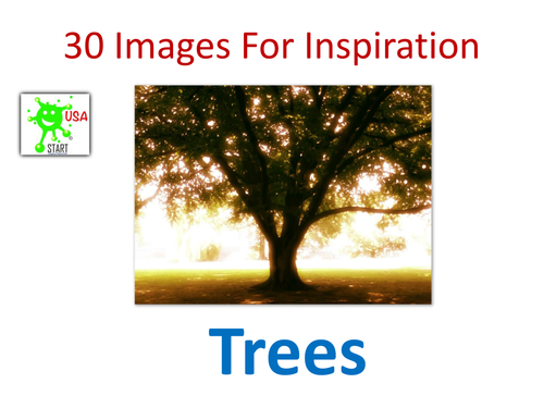 Visual Art Resource - 30 Images of Trees