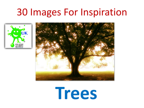 Visual Art Resource - 30 Images of Trees