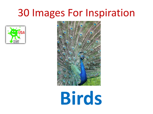 Visual Art Resource - 30 Images of Birds