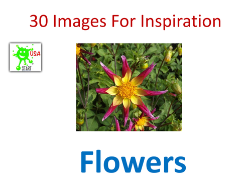 Visual Art Resource - 30 Images of Flowers